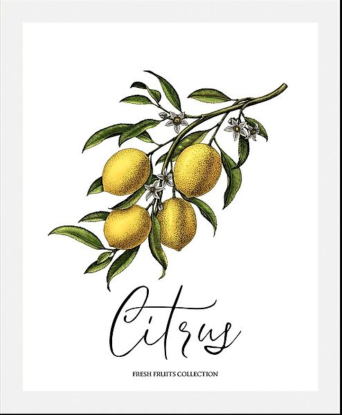 queence Bild »Citrus«, Obst-Obst Bilder-Essen-Lebensmittel-Kunst-Schriftzug günstig online kaufen