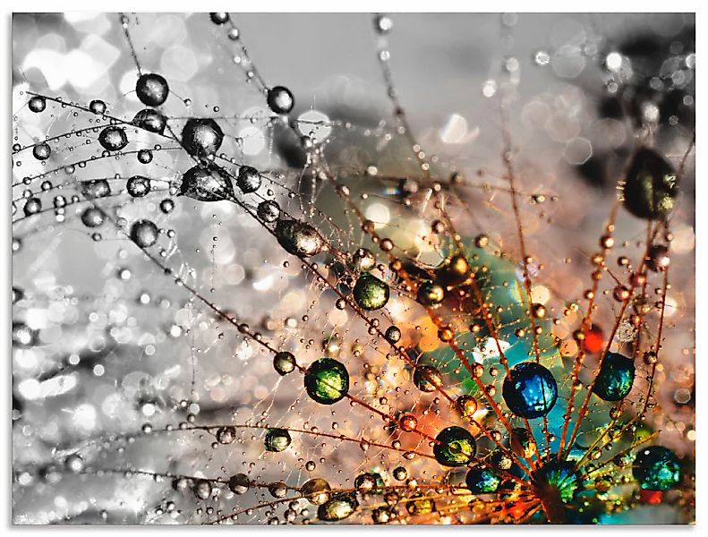 Artland Wandbild "Farbenfrohe Natur" Blumen 1 Stk. tlg. als Alubild, Outdoo günstig online kaufen