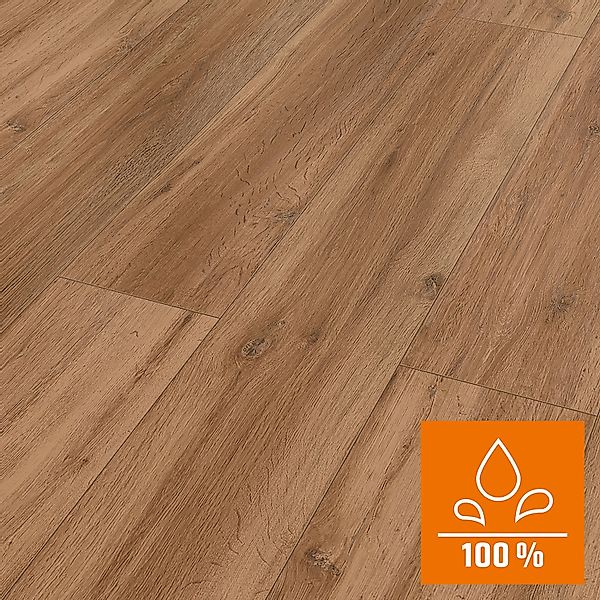 Classen Laminat 8 mm Wasserfest Oak Natural günstig online kaufen