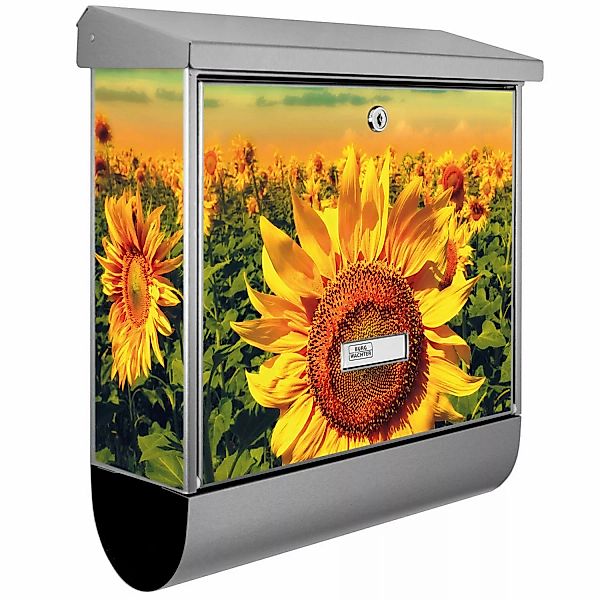 Banjado Briefkasten Edelstahl 38x39x12cm Mit Zeitungsfach Inkl. Montagemate günstig online kaufen
