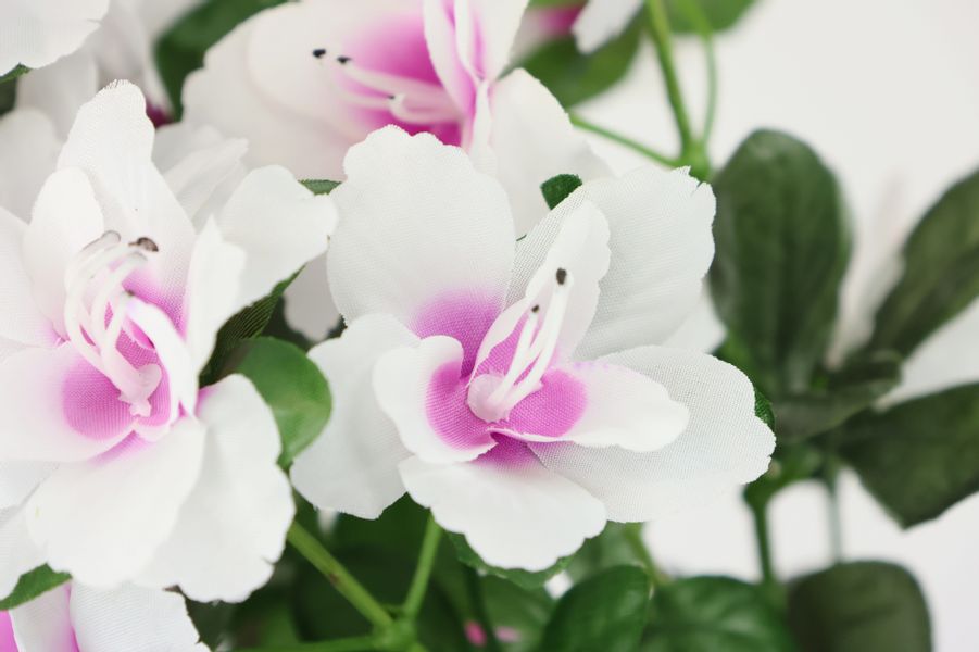 I.GE.A. Kunstblume "Kunstblume Azaleen im Topf" Blume Kunstpflanze Blumende günstig online kaufen