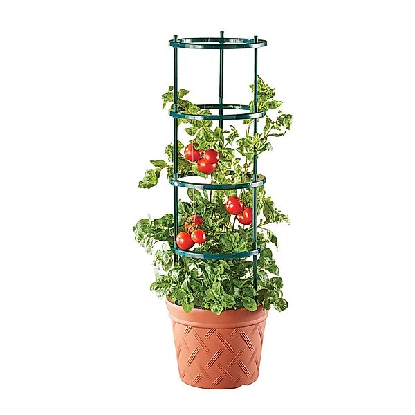 HTI-Living Pflanzkübel Pflanztopf Nessa Terracotta mit günstig online kaufen
