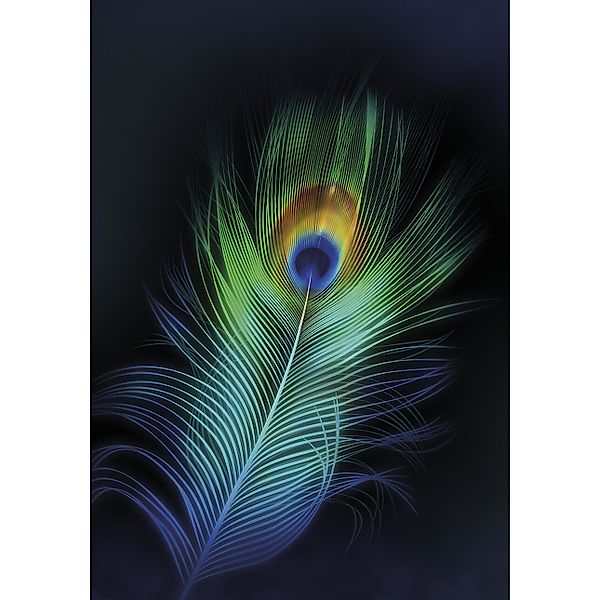 Leinwandbild Peacock Eye, 50 x 70 cm günstig online kaufen