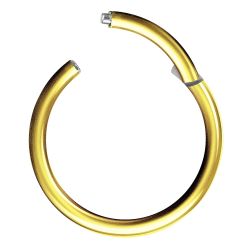 Taffstyle Nasenpiercing Segmentring Piercing Titan G23 günstig online kaufen