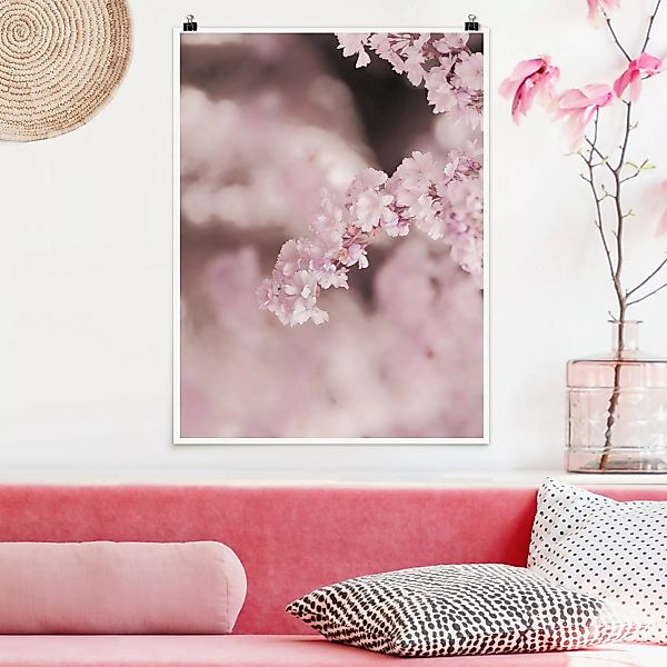 Poster Kirschblüte im Violetten Licht günstig online kaufen