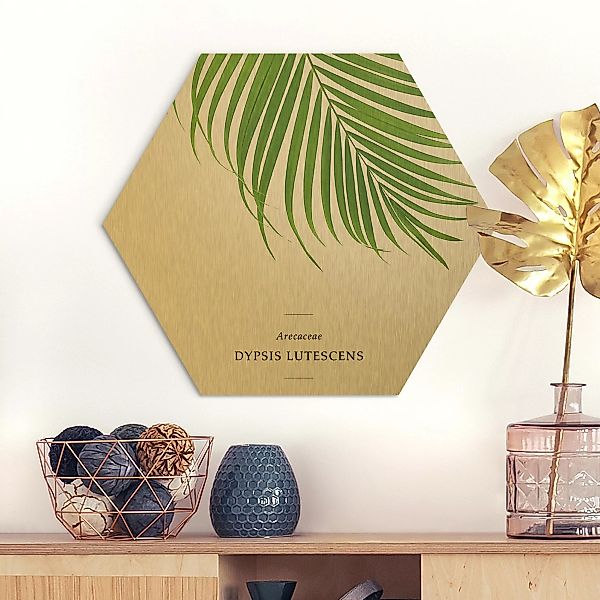Hexagon-Alu-Dibond Bild Blumen Tropisches Blatt Areca Palme günstig online kaufen