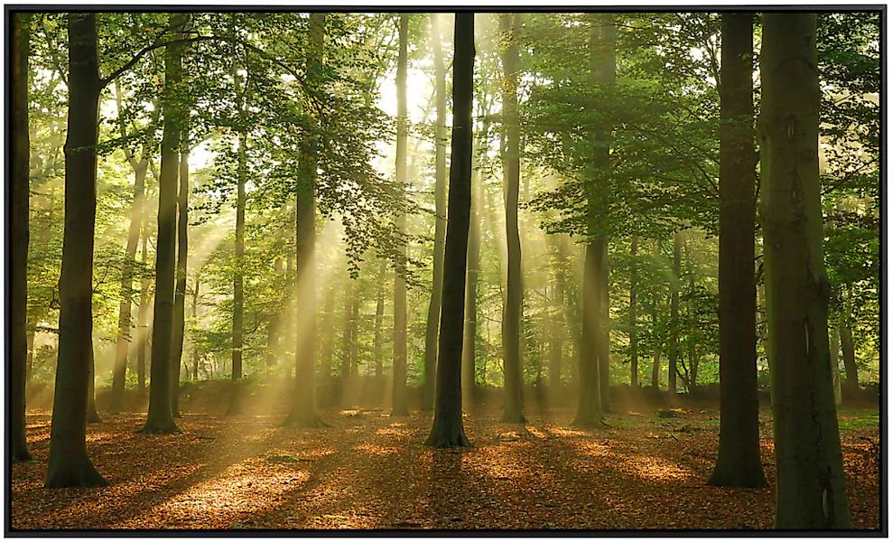 Papermoon Infrarotheizung »Wald am Morgen«, sehr angenehme Strahlungswärme günstig online kaufen