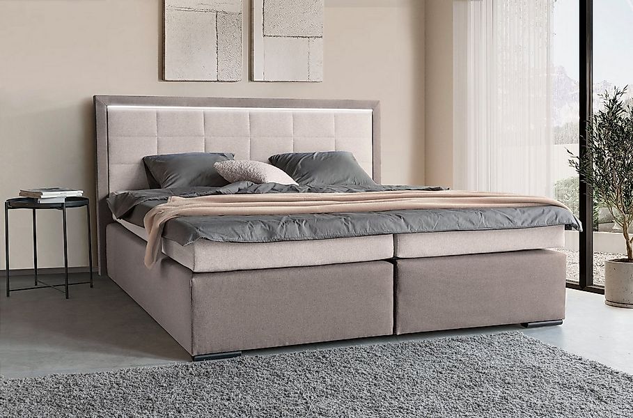COLLECTION AB Boxspringbett 30 Jahre Jubiläums-Modell Athena, in H2,H3 & H4 günstig online kaufen
