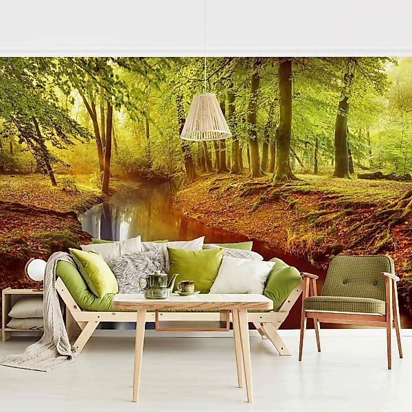 Bilderwelten Fototapete Wald Herbstwald orange Gr. 192 x 192 günstig online kaufen