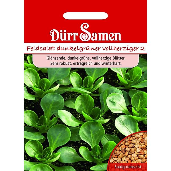 Dürr Samen Feldsalat Dunkelgrüner Vollherziger Saatgut günstig online kaufen