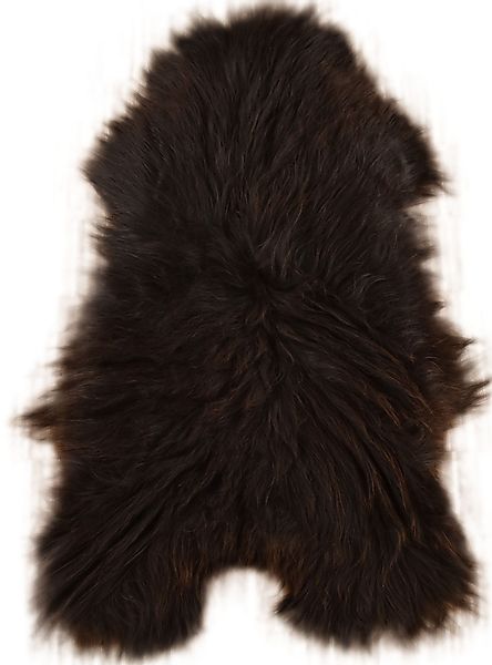 KUHFELL online & NOMAD Fellteppich Echtes günstig online kaufen