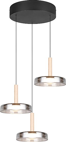 TRIO Leuchten LED Pendelleuchte CELESTE dimmbare günstig online kaufen