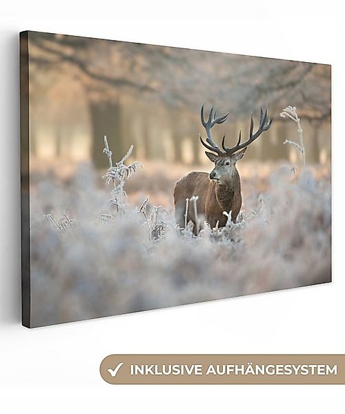 OneMillionCanvasses® Leinwandbild Hirsche - Tiere - Winter, Fotodruck (1 St günstig online kaufen