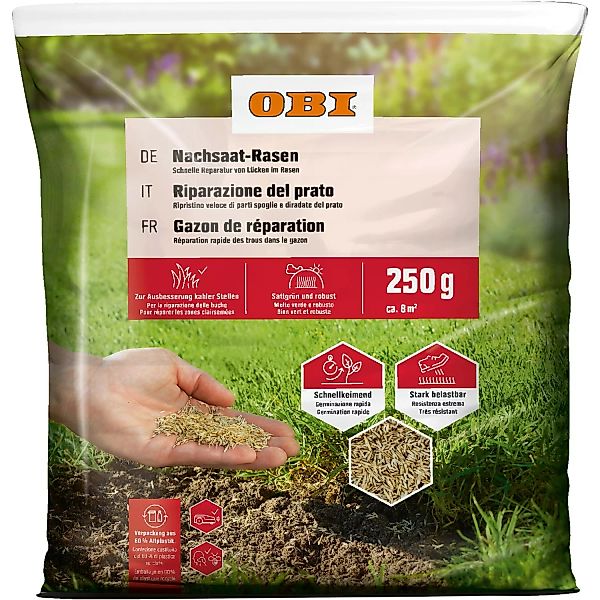 OBI Nachsaat-Rasen 250 g günstig online kaufen