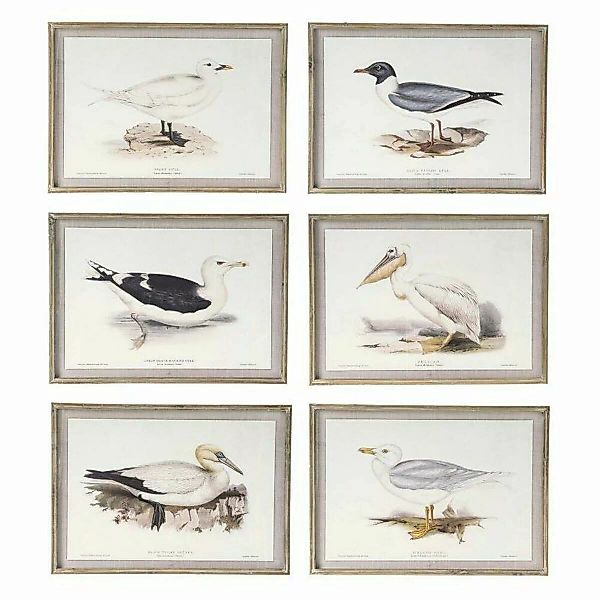 Bild Dkd Home Decor Vögel (70 X 2,5 X 50 Cm) (6 Stück) günstig online kaufen