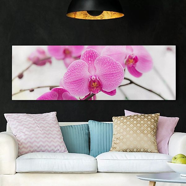 Leinwandbild - Panorama Nahaufnahme Orchidee günstig online kaufen