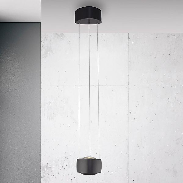 Paul Neuhaus LED-Pendelleuchte Q-Stretto, schwarz, Ø 14,5cm günstig online kaufen