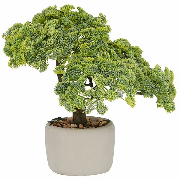 Creativ green Kunstbonsai "Bonsai Sedum multiceps", mit modernem Pflanzgefä günstig online kaufen