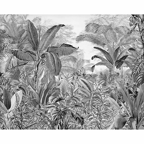 Komar Vliesfototapete Roraima 350 cm x 280 cm günstig online kaufen