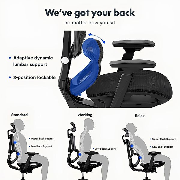 FLEXISPOT Bürostuhl Schreibtischstuhl Premium Ergonomischer (Rückenlehne günstig online kaufen