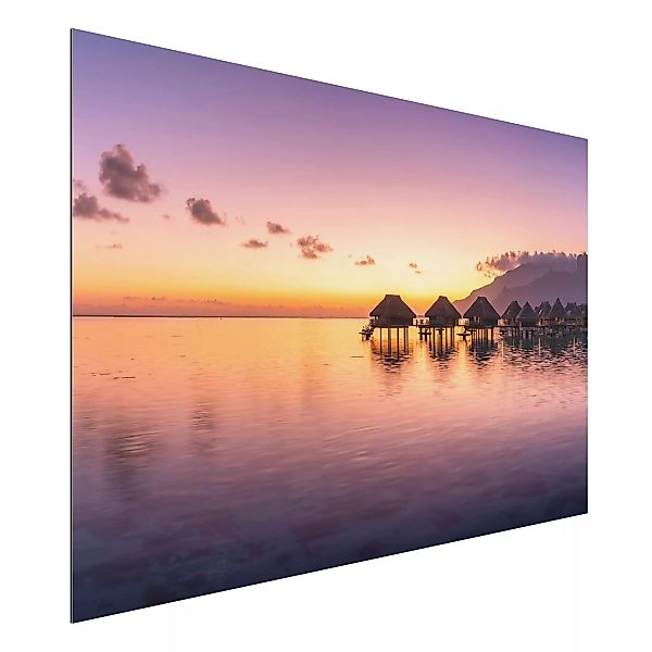 Alu-Dibond Bild Sunset Dream günstig online kaufen