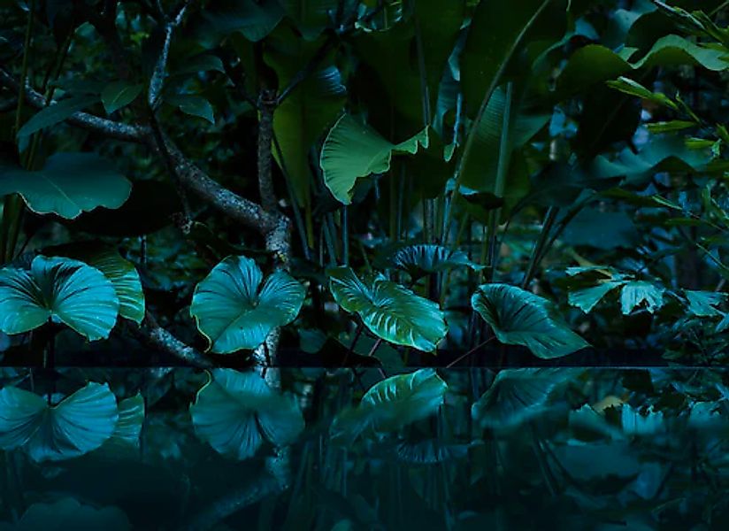 living walls Fototapete »Designwalls Tropical« glatt Vlies, Wand, Schräge, günstig online kaufen