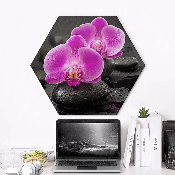 Hexagon-Alu-Dibond Bild Pinke Orchideenblüten auf Steinen mit Tropfen günstig online kaufen