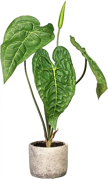 Creativ green Künstliche Zimmerpflanze "Anthurie" günstig online kaufen