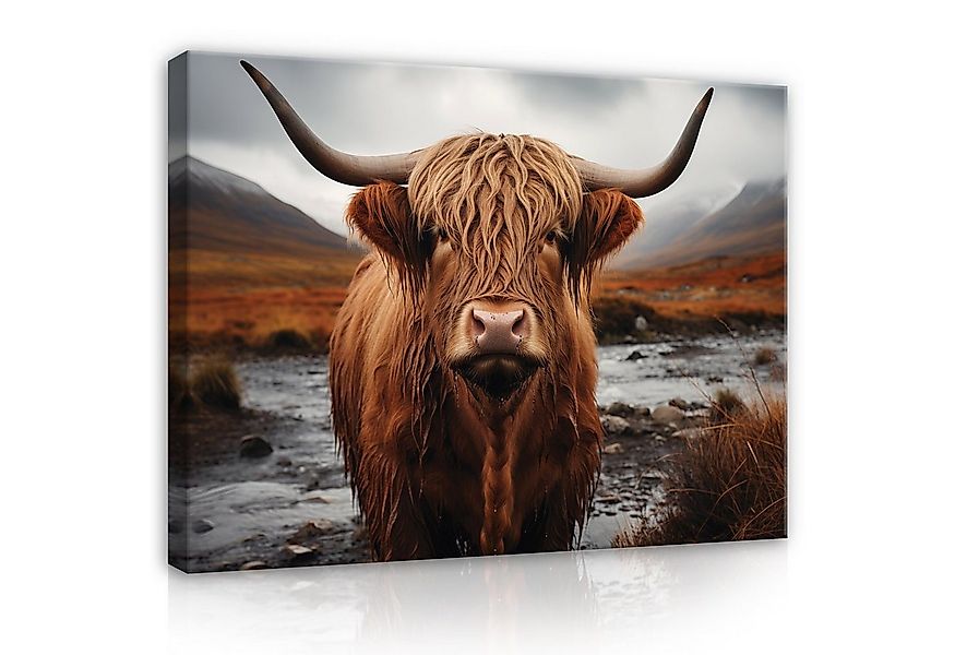 Wallarena Leinwandbild Schottisches Hochlandrind Wandbild Groß Kunstdruck A günstig online kaufen
