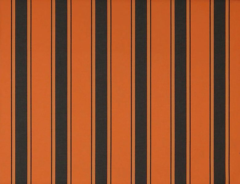 Wismar Kassettenmarkise "Classic S-Compact", Breite: 250 cm, Ausfall: 200 c günstig online kaufen