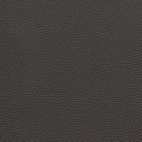 COTTA 2,5-Sitzer Dani günstig online kaufen