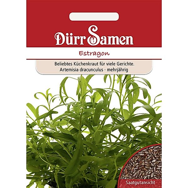 Dürr Samen Estragon Saatgut günstig online kaufen