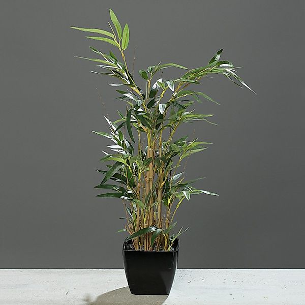 Kunstpflanze Bambus 60cm im schwarzen Topf günstig online kaufen