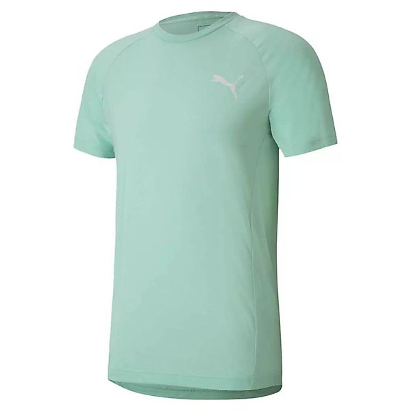 Puma Evostripe Kurzarm T-shirt L Mist Green günstig online kaufen