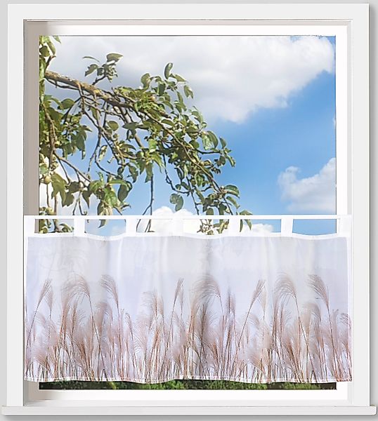 Weckbrodt Scheibengardine "Pampasgras" Schlaufen 1 Stk. tlg. Bistro, Voile, günstig online kaufen