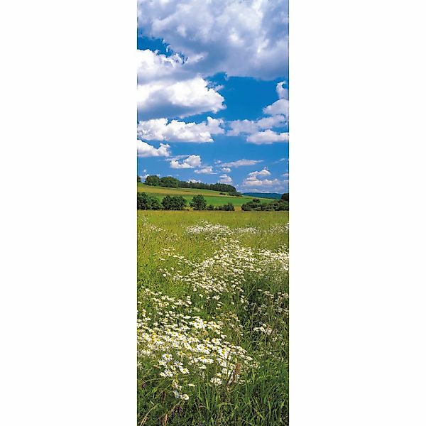 Komar Vliestapete »Digitaldruck Vlies - Meadow - Größe 100 x 280 cm«, bedru günstig online kaufen