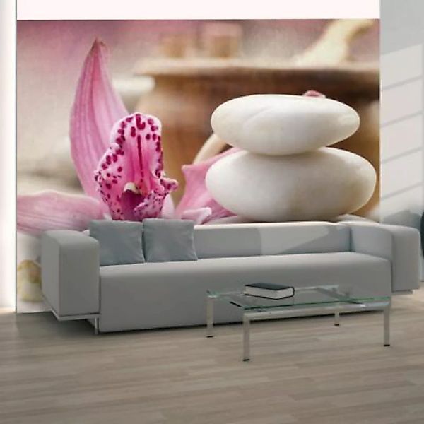 artgeist Fototapete Zen und Spa & Wellness mehrfarbig Gr. 250 x 193 günstig online kaufen