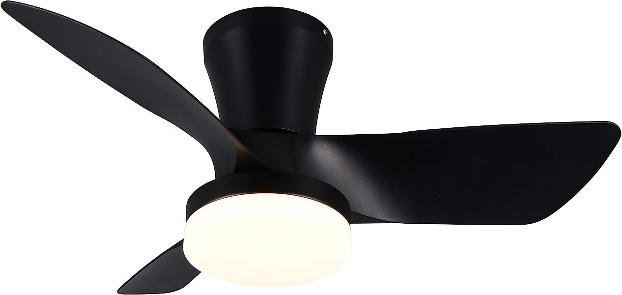 Reality Leuchten LED Deckenleuchte RANDERS mit günstig online kaufen