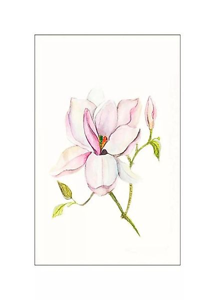 Komar Poster »Magnolia Shine«, Blumen, (1 St.) günstig online kaufen