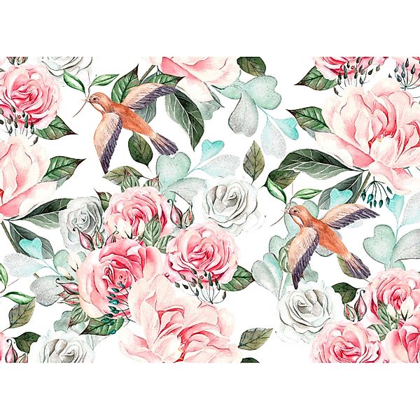 Fototapete Blumen Vögel Türkis Orange Weiß Grün 3,50 m x 2,55 m FSC® günstig online kaufen