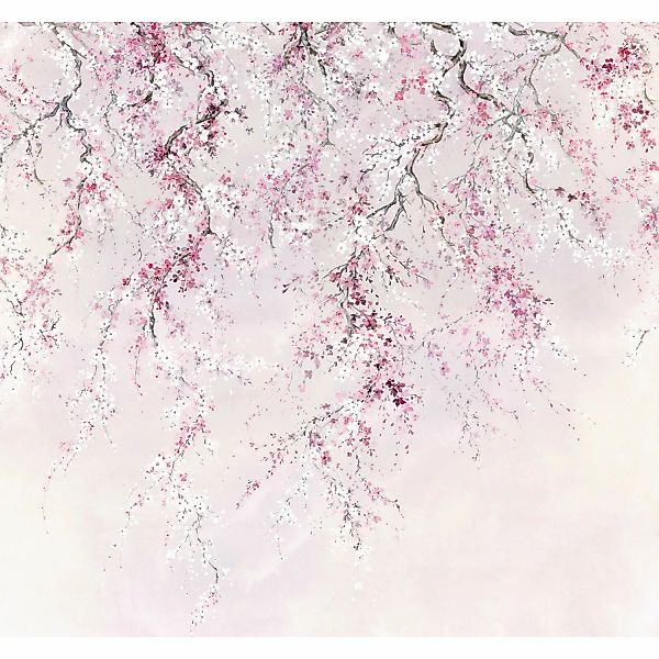 Sanders & Sanders Fototapete Kirschblüten Rosa 300 x 280 cm 612002 günstig online kaufen