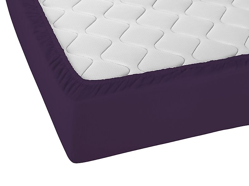 Biberna Spannbettlaken Biber in Gr. 90x200, 140x200 oder 180x200 cm, Biber, günstig online kaufen