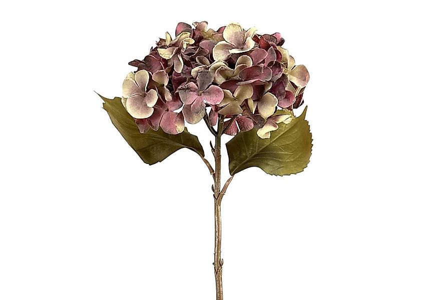 Kunstblume Kunstblume HORTENSIE 46cm. In Trockenblumenoptik. Aubergine Lila günstig online kaufen