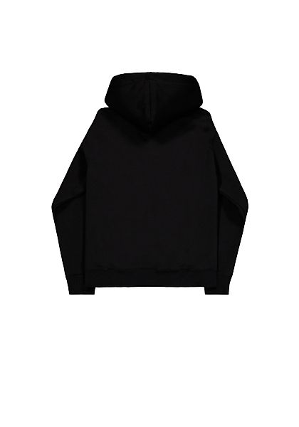 Alpha Industries Hoodie Embroidery Hoodie günstig online kaufen