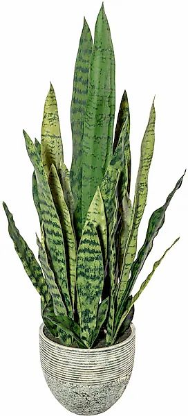 Künstliche Zimmerpflanze Sanseveria Sukkulente, Creativ green, günstig online kaufen