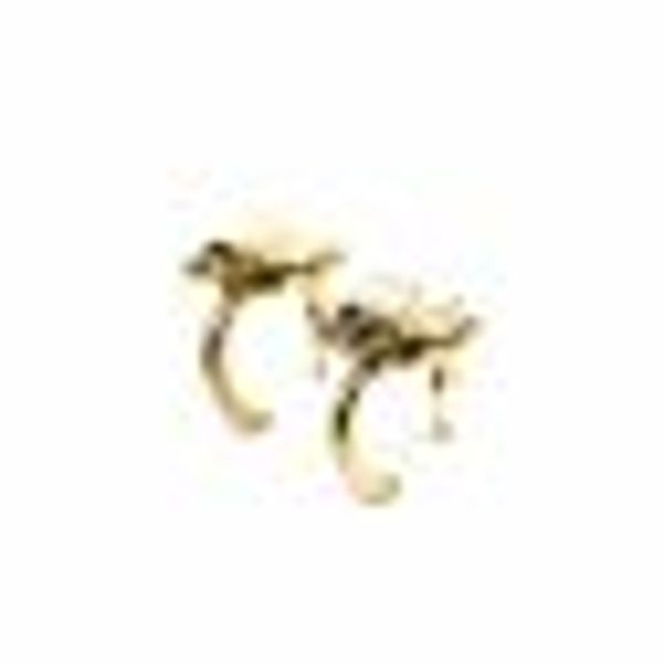 Steckcreolen 925 Sterling Silber vergoldet Glänzend Zirkonia günstig online kaufen