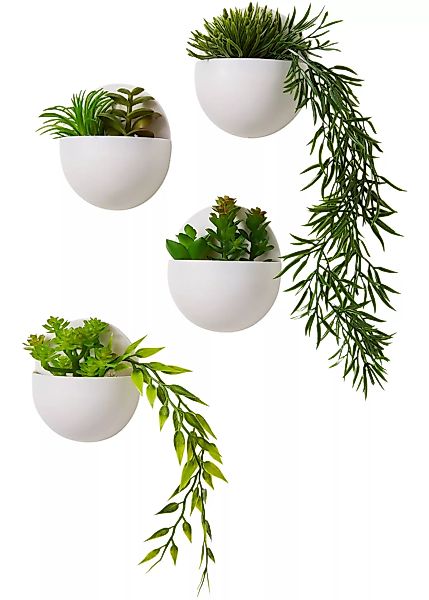 Kunstpflanze Sukkulenten zum Hängen (4-tlg.Set) günstig online kaufen