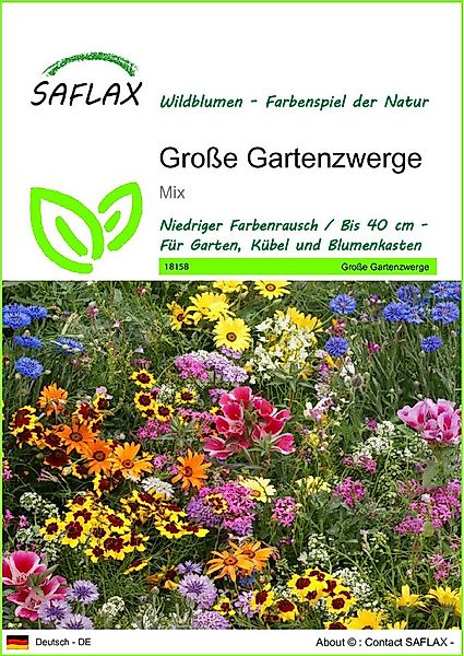 SAFLAX Blumensamen SAFLAX - Samen - Große Gartenzwerge günstig online kaufen