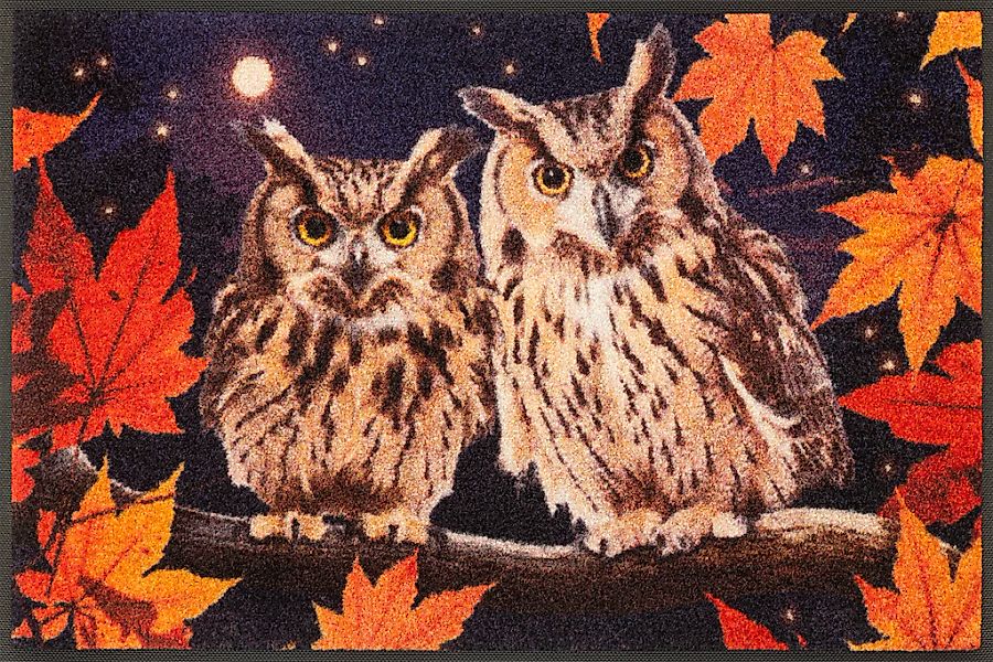 wash+dry by Kleen-Tex Fußmatte "Night Owls" rechteckig 7 mm Höhe günstig online kaufen