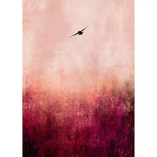 Fototapete Vogel Sonnenuntergang Schwarz Rosa Lila 2,00 m x 2,80 m FSC® günstig online kaufen